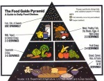 Low-fat food pyramid